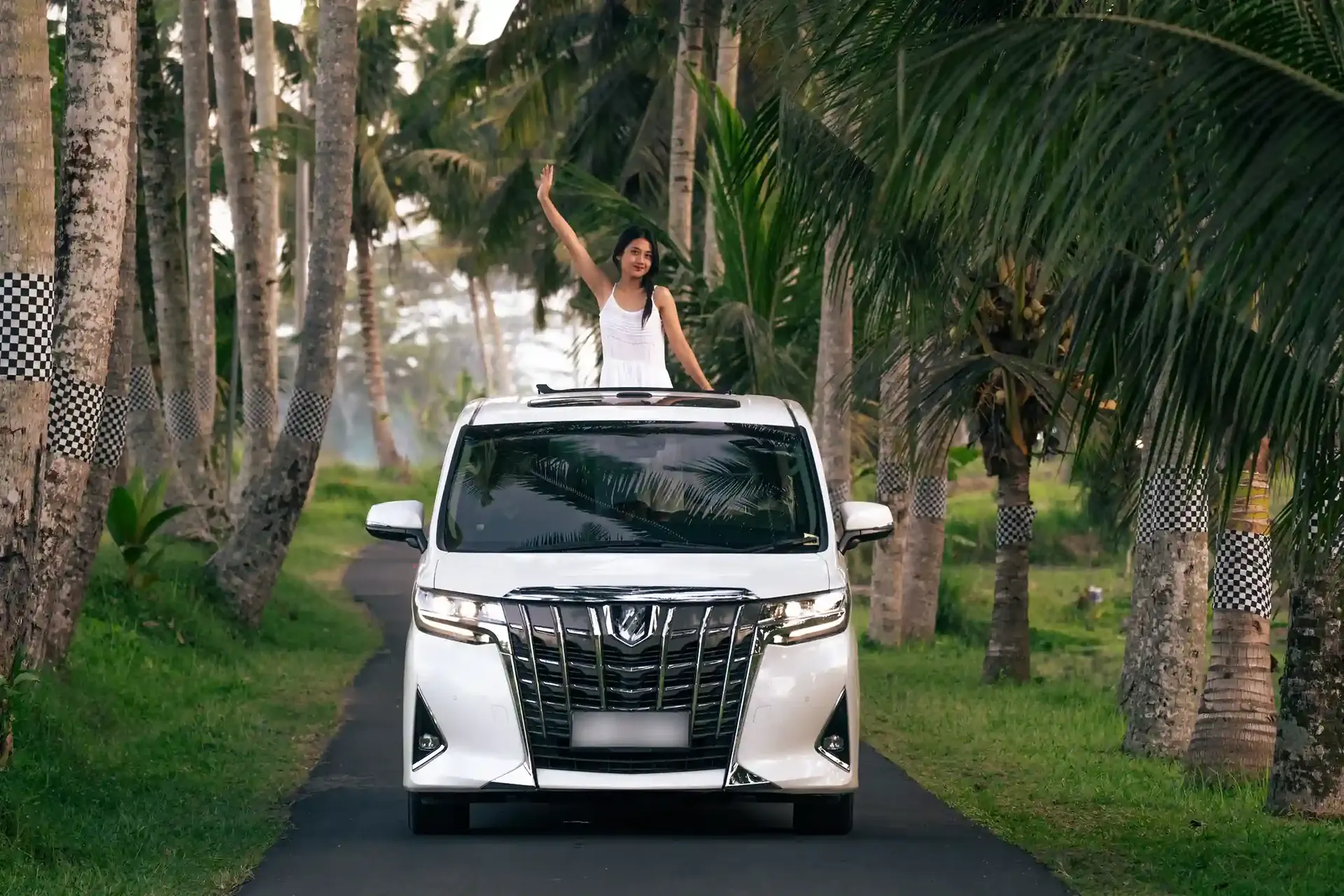 White Toyota Alphard with a private driver on a palm-lined road in Bali